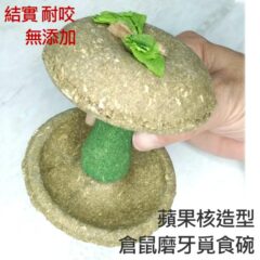 蘋果核造型 磨牙 啃咬 造景 食碗 多用途點心玩具